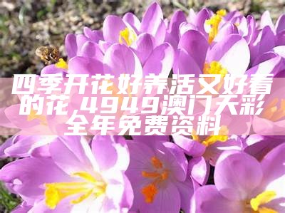 100种花开时间表，你准备好了吗？, 蓝月亮香港正版免费资料大全