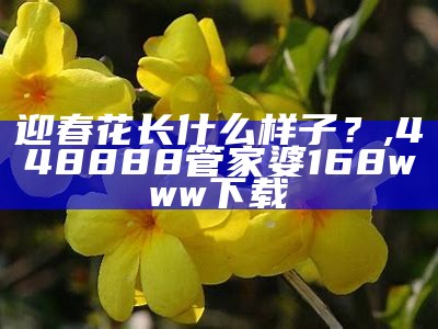 迎春花长什么样子？, 448888管家婆168www下载