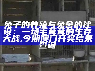 兔子的养殖与兔舍的建设：一场毛茸茸的生存大战, 今期澳门开奖结果查询