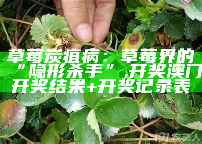 草莓炭疽病：草莓界的“隐形杀手”, 开奖澳门开奖结果+开奖记录表