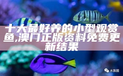 十大最好养的小型观赏鱼, 澳门正版资料免费更新结果