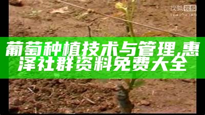 葡萄种植方法与技术管理，你不知道的“酸甜”小秘密, 316969抓码王十八码