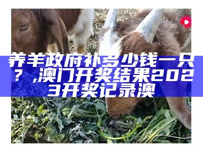 养羊100只，需要多少钱？, 香港最准最快的资料免费