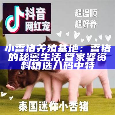 小香猪：可爱的“骗局”, 马会传真澳门