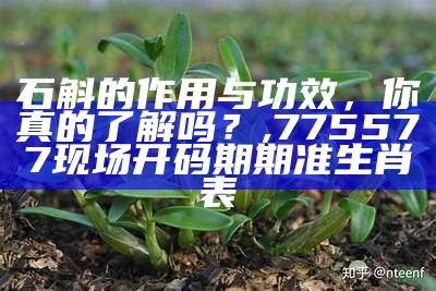 铁皮石斛种植条件：那些你可能不知道的事儿, 香港小鱼儿玄机2站网站