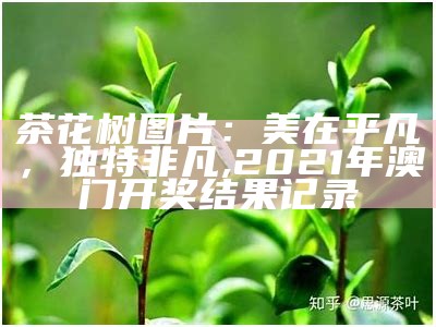 茶花树图片：美在平凡，独特非凡, 2021年澳门开奖结果记录