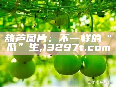 葫芦图片：不一样的“瓜”生, 13297t.com