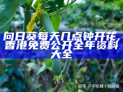 向日葵每天几点钟开花, 香港免费公开全年资料大全