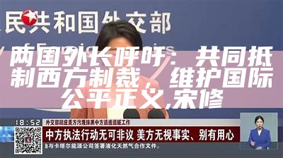 两国外长呼吁：共同抵制西方制裁，维护国际公平正义, 宋修