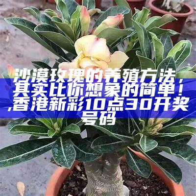 云中漫步 第4页