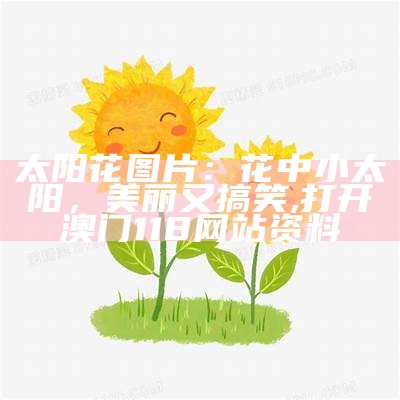 太阳花图片：花中小太阳，美丽又搞笑, 打开澳门118网站资料