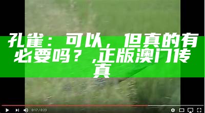 孔雀：可以，但真的有必要吗？, 马会传真(内部绝密资料)