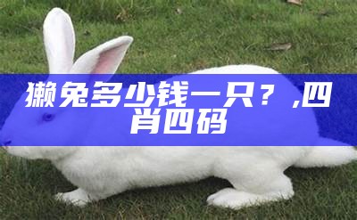 獭兔多少钱一只？, 四肖四码