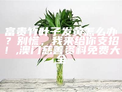 富贵竹黄叶子，别慌！水养有妙招, 澳门醉红颜资料库