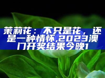 茉莉花：不只是花，还是一种情怀, 2023澳门开奖结果今晚1