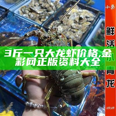 3斤一只大龙虾价格, 金彩网正版资料大全