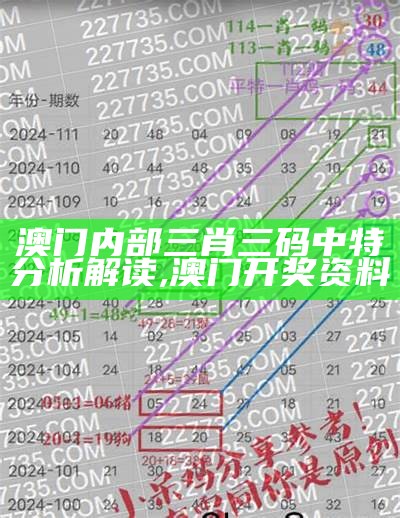 三肖六码3肖6码特中特，详细分析解读, 澳门今晚开奖结果2023今晚