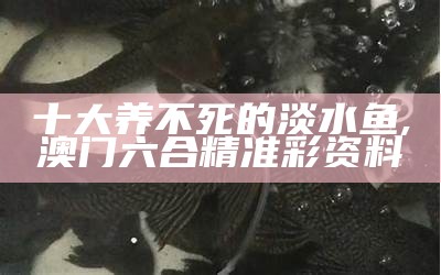 十大养不死的淡水鱼, 澳门六合精准彩资料