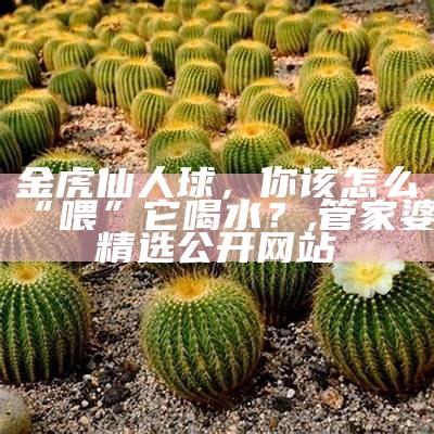 金虎仙人球，你真的懂怎么浇水吗？, 金算盘49819更新金