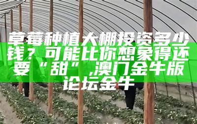 草莓种植大棚投资多少钱？可能比你想象得还要“甜”, 2023澳门六今晚开奖结果出来