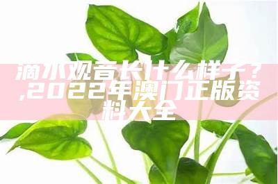 滴水观音长什么样子？, 2022年澳门正版资料大全