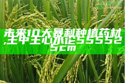 未来10大暴利种植药材, 澳门开奖结果+开奖记录2021