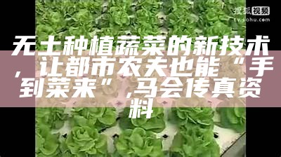 无土栽培蔬菜：让种植变得不一样, 2022年澳门历史开奖结果记录