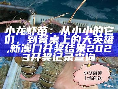 小龙虾苗：从小小的它们，到餐桌上的大英雄, 新澳门开奖结果2023开奖记录查询