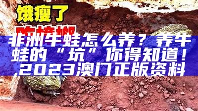 非洲牛蛙怎么养？养牛蛙的“坑”你得知道！, 2023澳门正版资料