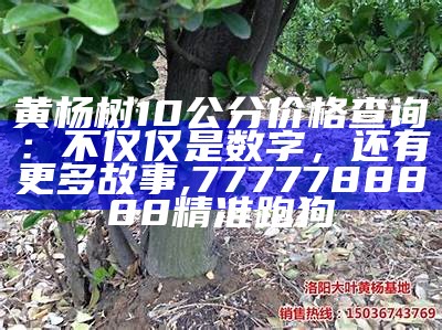 黄杨树10公分价格查询：不仅仅是数字，还有更多故事, 7777788888精准跑狗