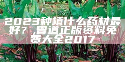 2023种植什么药材最好？, 曾道正版资料免费大全2017