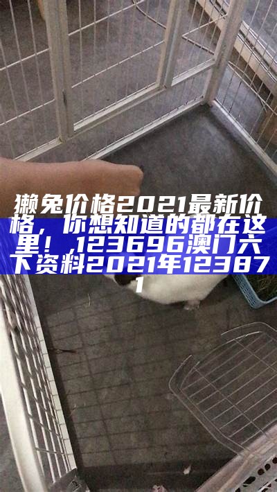 獭兔价格：你知道现在多少钱一只吗？, 今期马会传真内部封信