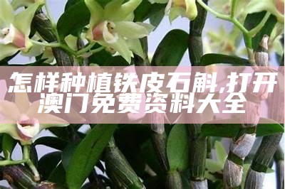 铁皮石斛的种植方法与注意事项, 2023澳门精准正版资料大全