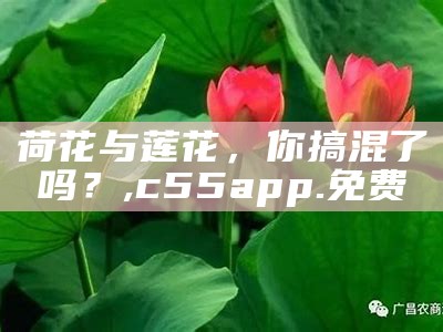 荷花与莲花，你搞混了吗？, c55app.免费