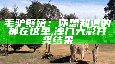 毛驴繁殖：你想知道的都在这里, 澳门六彩开奖结果