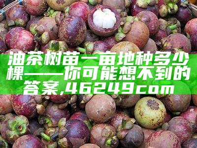 油茶树苗一亩地种多少棵——你可能想不到的答案, 46249com