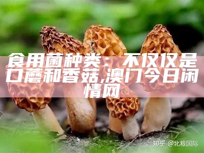 菌类大全, 2023澳门正版资料