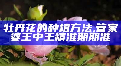 柔情心 第3页