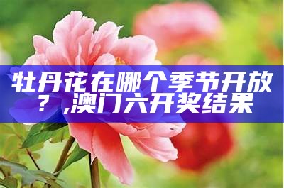 牡丹花几月开, 123696澳门六下彩资料59期