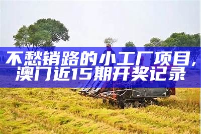 不愁销路的小工厂项目, 澳门近15期开奖记录