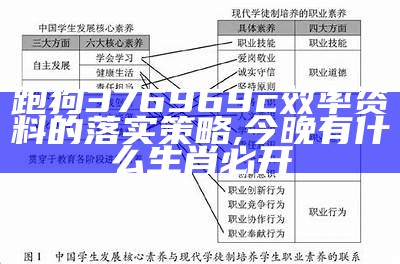 跑狗376969c效率资料的落实策略, 今晚有什么生肖必开