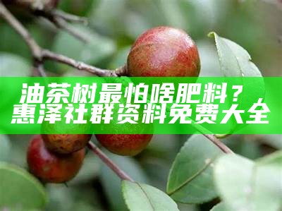 油茶树最怕啥肥料？, 惠泽社群资料免费大全