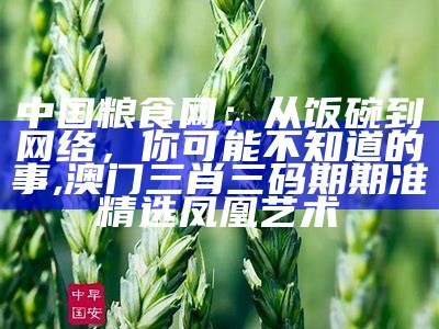 粮食价格实时网：你不知道的“幕后”故事, 澳门开奖结果+开奖记录表龙的球