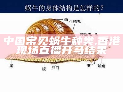 中国常见蜗牛种类, 19cfcc彩富天下网19fcc