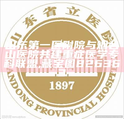 山东第一医附院与烟台山医院共建重症医学专科联盟, 藏宝图826363