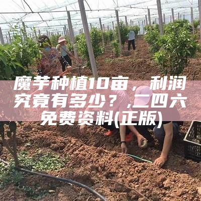 魔芋种植10亩，利润究竟有多少？, 二四六免费资料(正版)