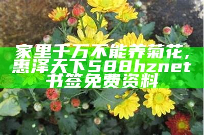 家里千万不能养菊花, 惠泽天下588hznet书签免费资料