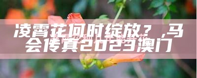 凌霄花何时绽放？, 马会传真2023澳门