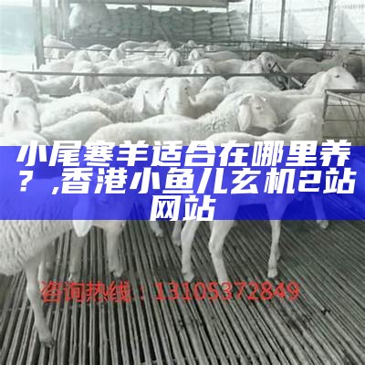 小尾寒羊适合在哪里养？, 香港小鱼儿玄机2站网站