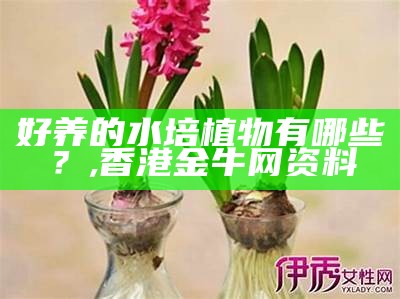 好养的水培植物有哪些？, 香港金牛网资料